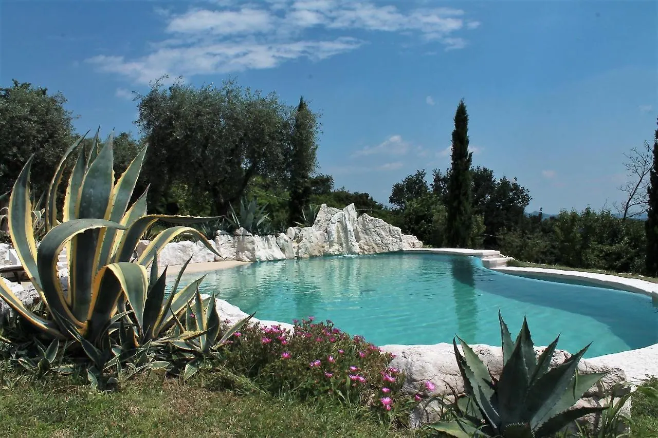 B&B Le Agavi Borso del Grappa