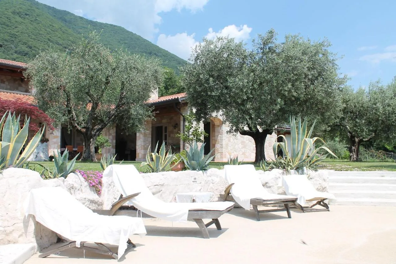 Bed & Breakfast B&B Le Agavi Borso del Grappa