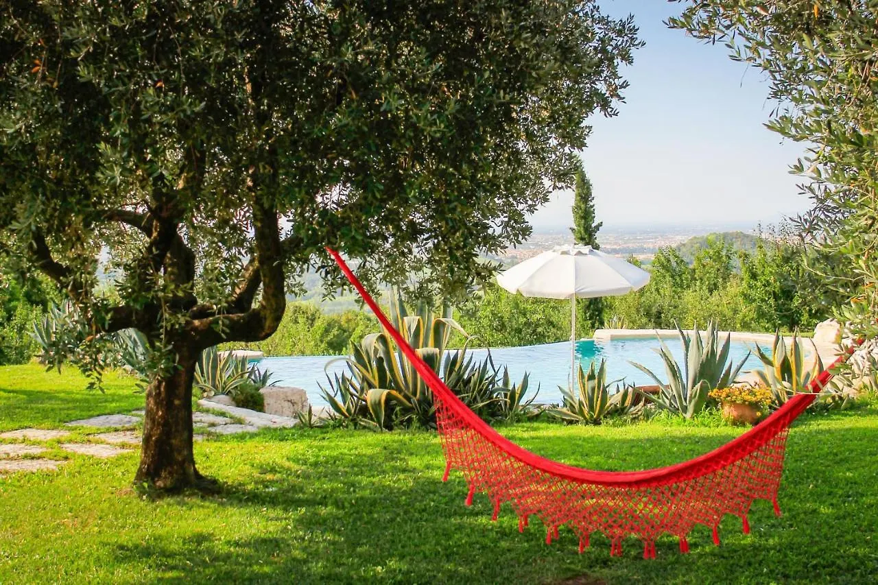 B&B Le Agavi Borso del Grappa Bed & Breakfast